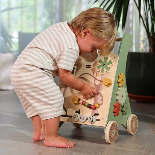 Деревянные развивающие ходунки-каталка 2 в 1 Tiny Love Boho Chic