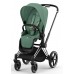 Chrome Black / Leaf Green