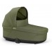 Moss Green