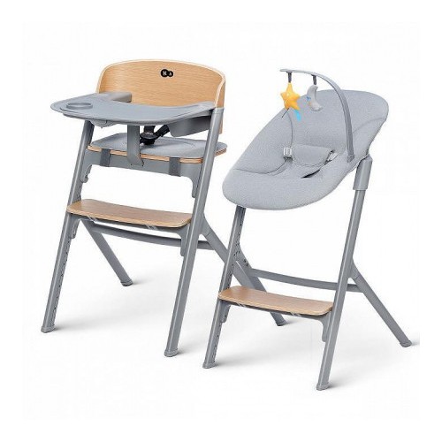 Стульчик для кормления Kinderkraft Livy and Calmee 4 в 1