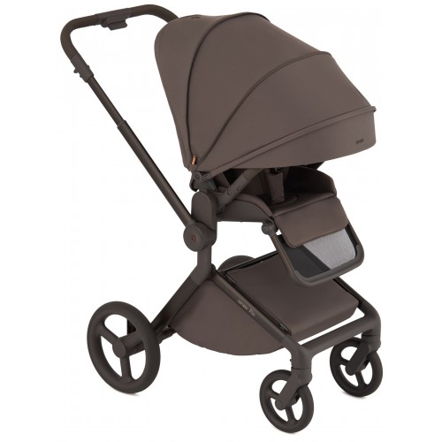 Детская коляска Anex Flo 2 в 1 