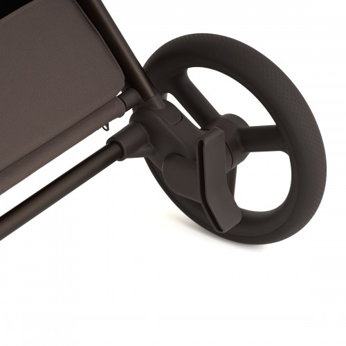 Детская коляска Anex Flo 2 в 1 