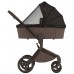 Детская коляска Anex Flo 2 в 1 