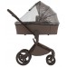 Детская коляска Anex Flo 2 в 1 