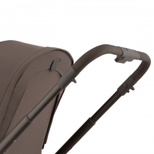 Детская коляска Anex Flo 2 в 1 