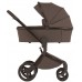 Детская коляска Anex Flo 2 в 1 