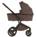 Детская коляска Anex Flo 2 в 1 