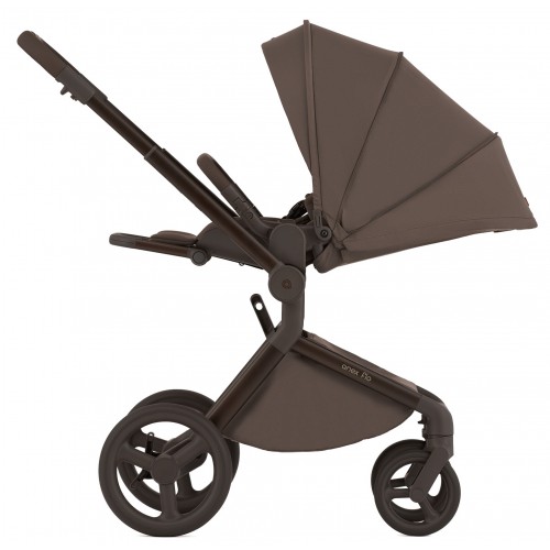 Детская коляска Anex Flo 2 в 1 