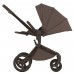 Детская коляска Anex Flo 2 в 1 