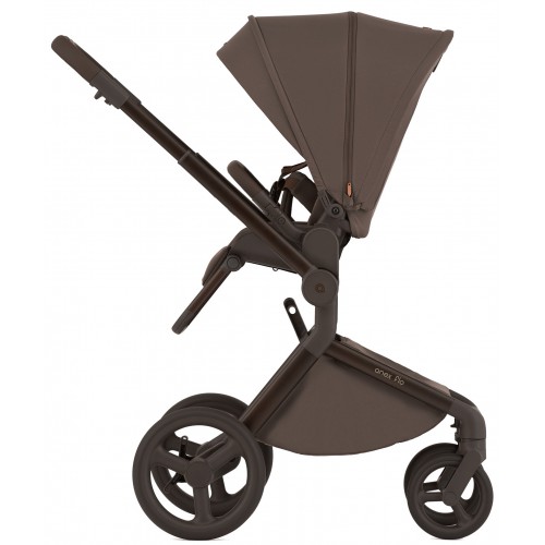 Детская коляска Anex Flo 2 в 1 