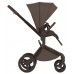Детская коляска Anex Flo 2 в 1 