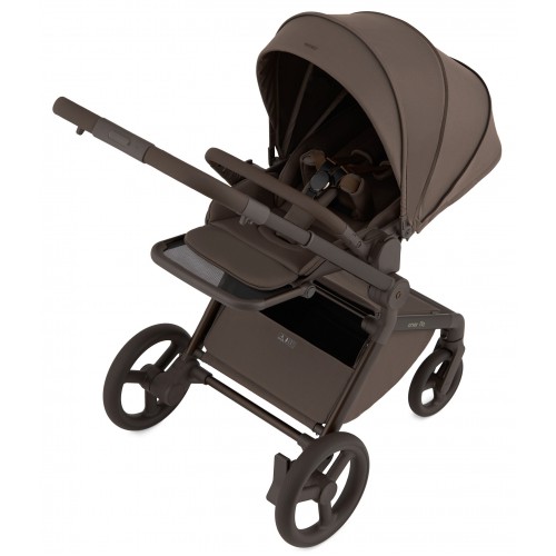 Детская коляска Anex Flo 2 в 1 