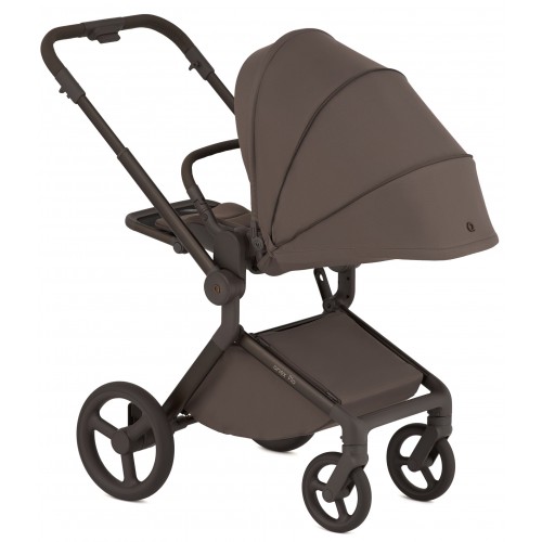 Детская коляска Anex Flo 2 в 1 