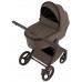 Детская коляска Anex Flo 2 в 1 