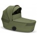 Moss Green