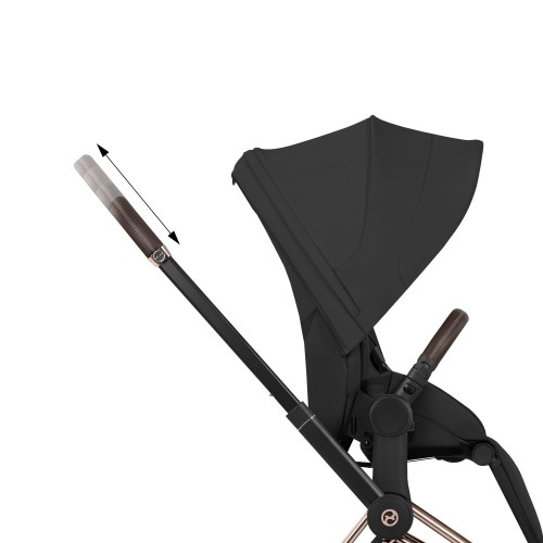 Детская коляска Cybex Priam V Style 2 в 1 Chrome 