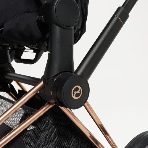 Детская коляска Cybex Priam V Style 2 в 1 Chrome 