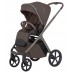 Универсальная коляска Carrello Vector 2 в 1 2026 CRL-6550