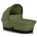 Moss Green