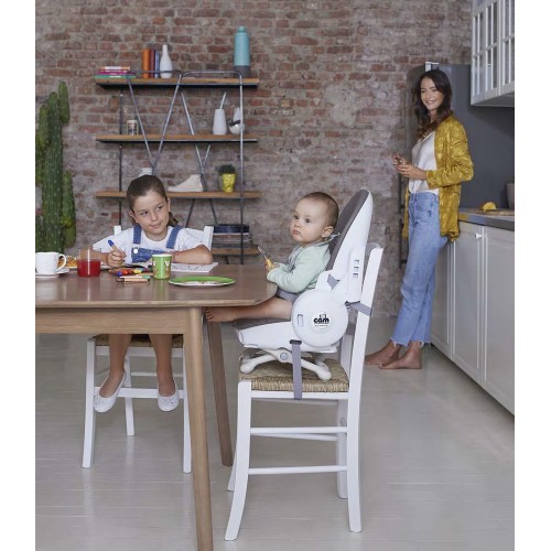 Cтульчик для кормления Cam Original 4 в 1