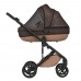 Коляска 2 в 1 Anex Eli Fantasy